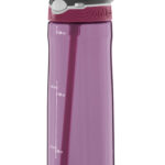 בקבוק Ashland סגול כהה מבית CONTIGO