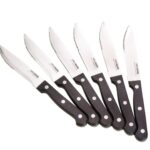 סט 6 סכיני סטייק גדולים Arcosteel